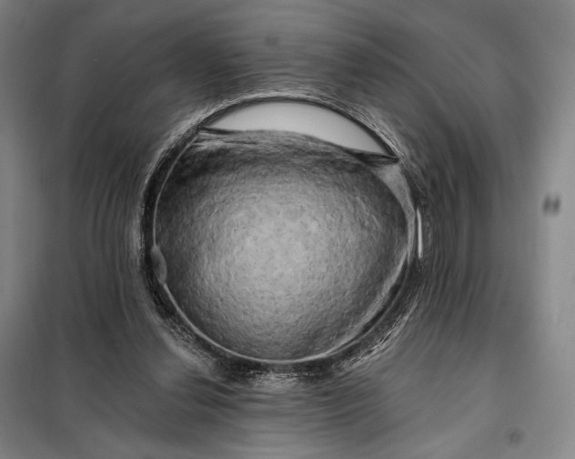X0000098130252200805011327