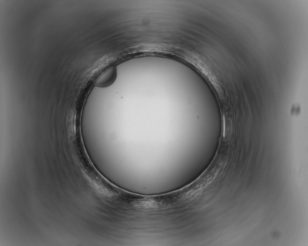 X0000098130253200805011327