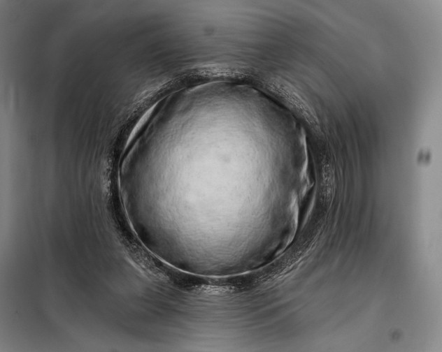 X0000098130255200805011327