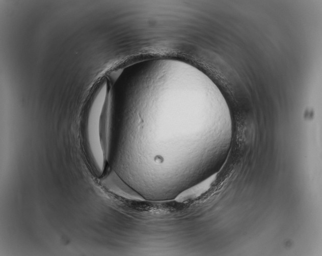 X0000098130256200805011327