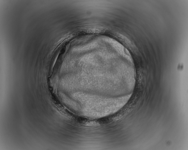 X0000098130258200805011327