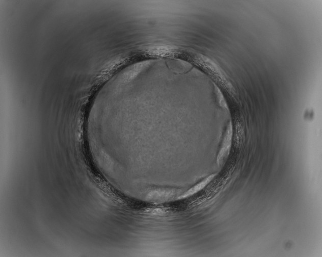 X0000098130259200805011327