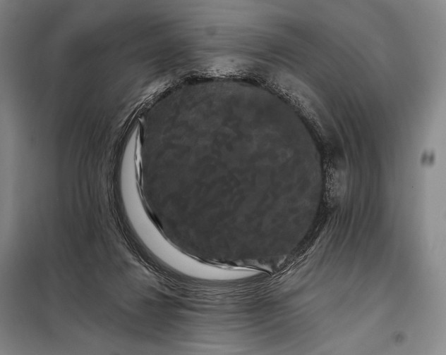 X0000098130260200805011327