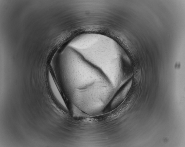 X0000098130261200805011327