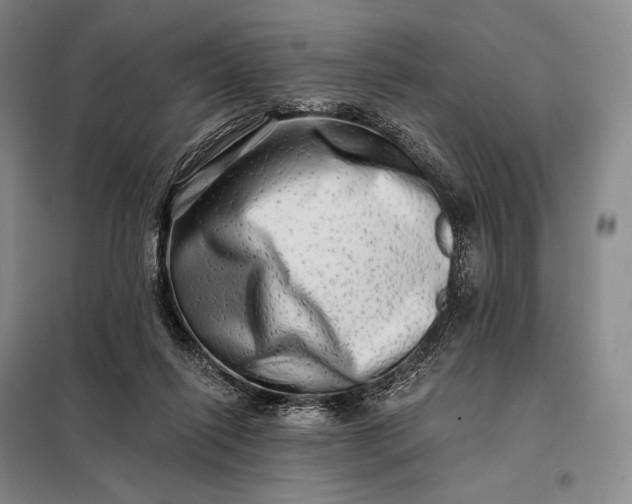 X0000098130262200805011327