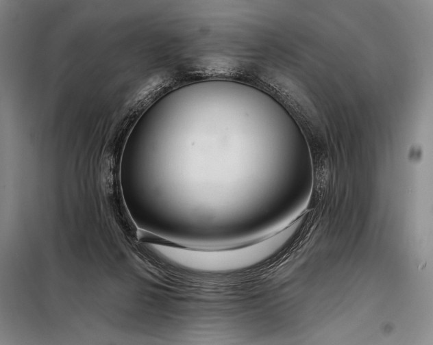 X0000098130264200805011327