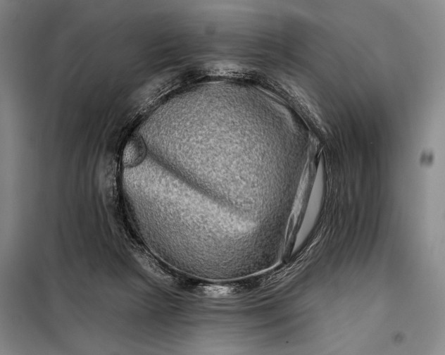 X0000098130265200805011327