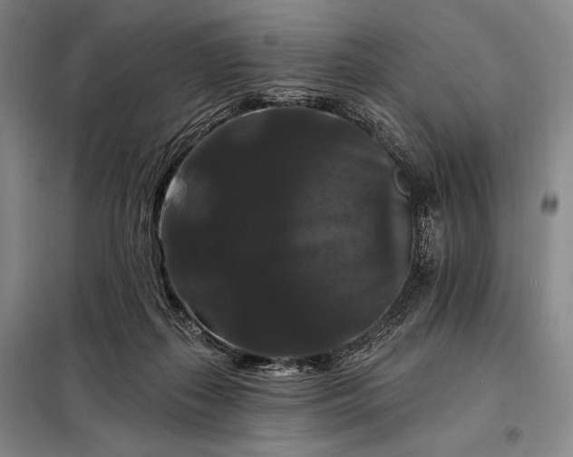 X0000098130267200805011327