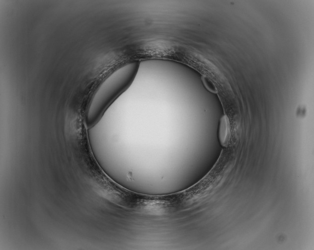 X0000098130268200805011327