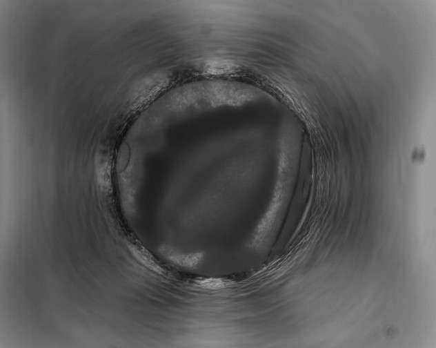X0000098130269200805011327