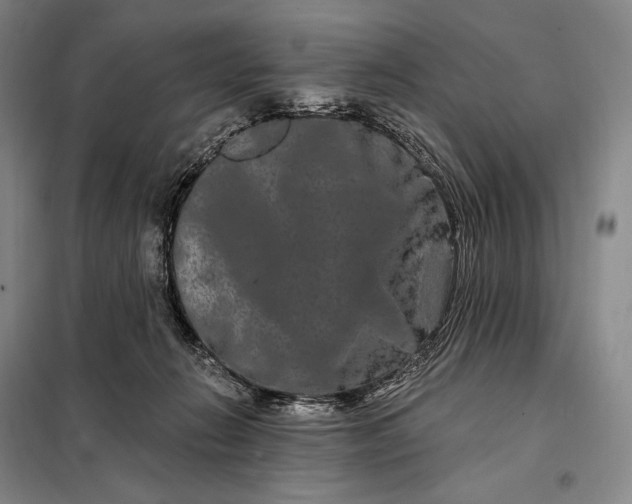 X0000098130270200805011327