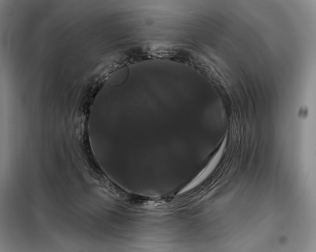 X0000098130271200805011327