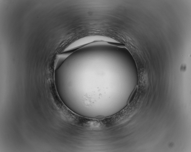 X0000098130272200805011327