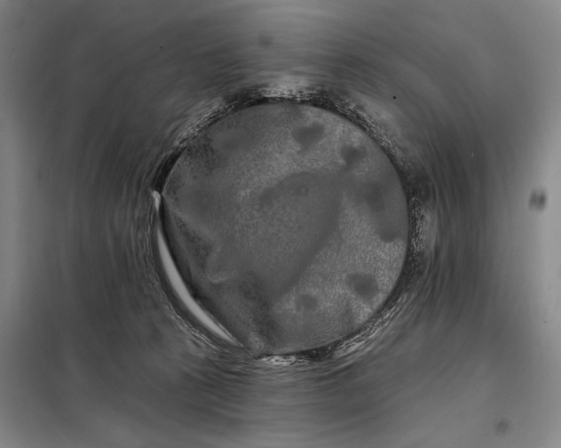 X0000098130273200805011327