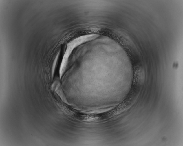X0000098130274200805011327