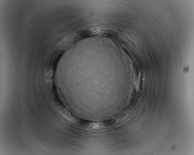X0000098130275200805011327