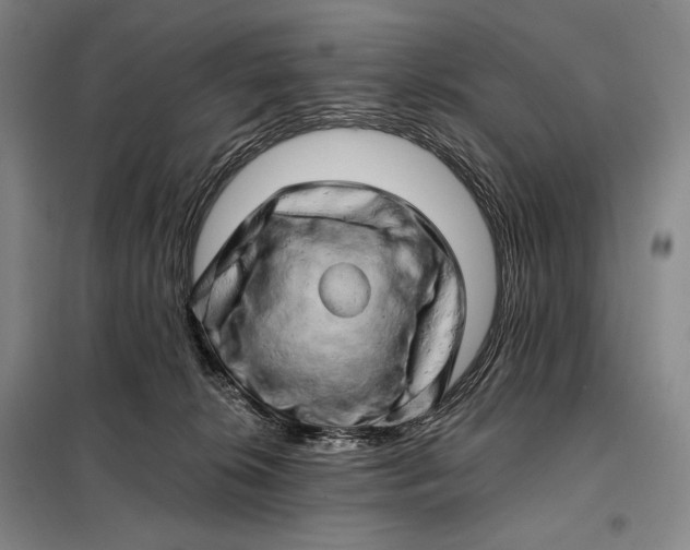 X0000098130276200805011327