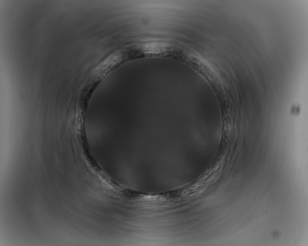 X0000098130277200805011327
