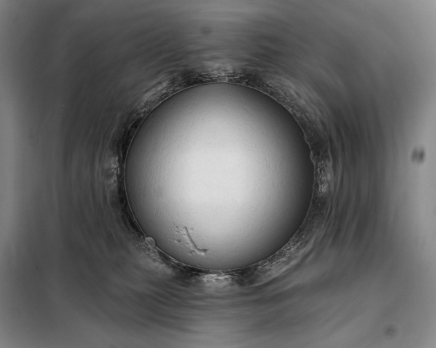 X0000098130279200805011328