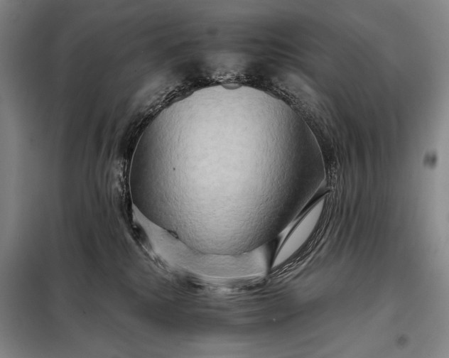 X0000098130280200805011328