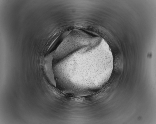 X0000098130282200805011328