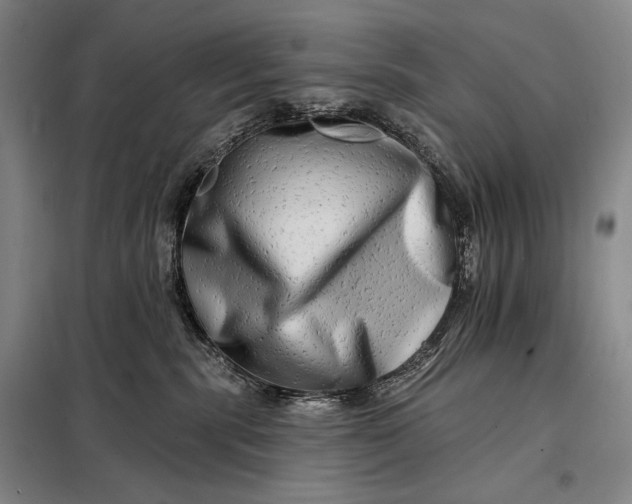 X0000098130283200805011328
