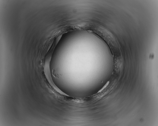 X0000098130284200805011328