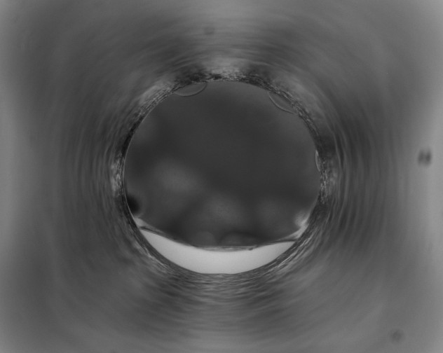X0000098130285200805011328