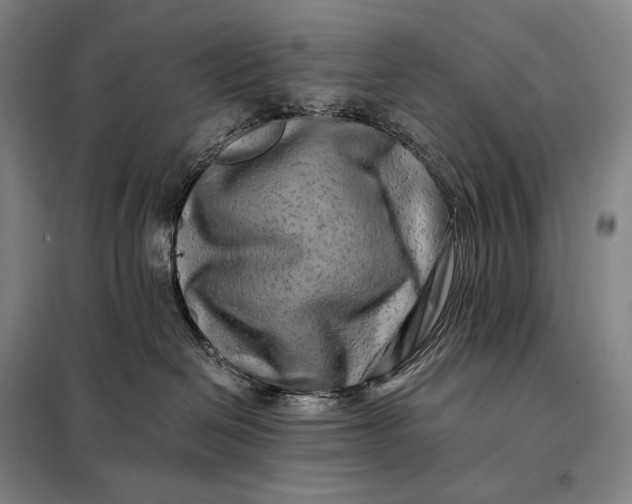 X0000098130286200805011328