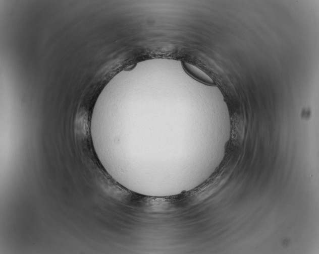 X0000098130287200805011328