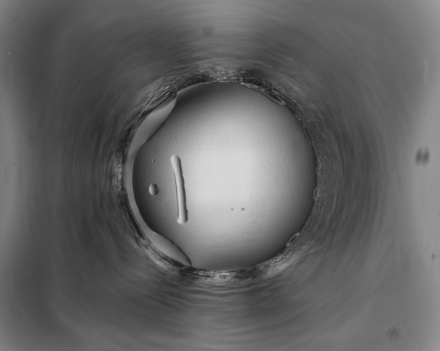 X0000098130288200805011328