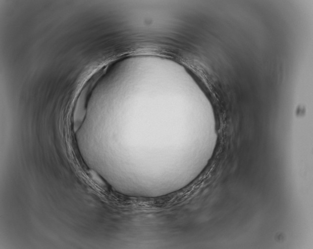 X0000098130289200805011327