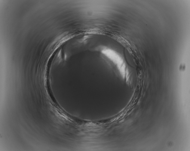 X0000098130290200805011327