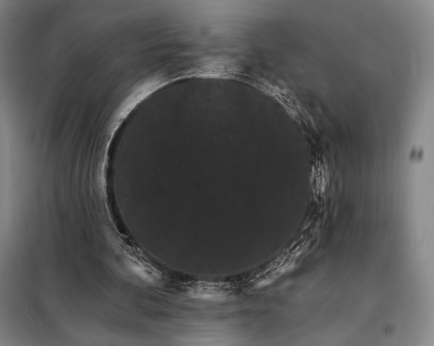 X0000098130292200805011327