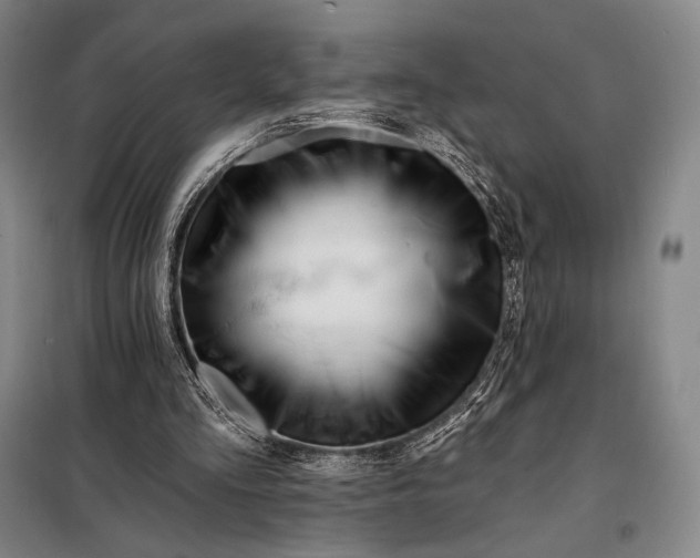 X0000098130293200805011327