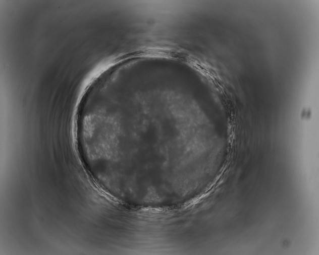 X0000098130294200805011327