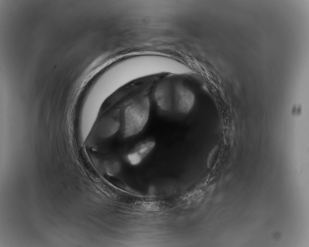 X0000098130295200805011327