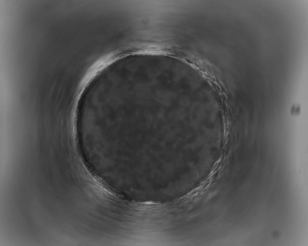 X0000098130296200805011327