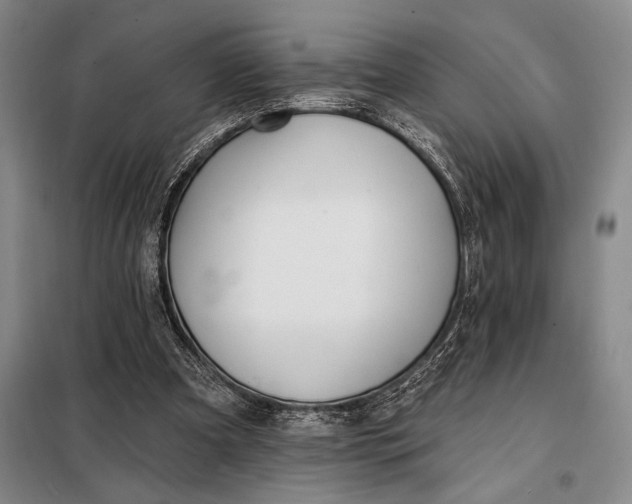X0000098130297200805011327