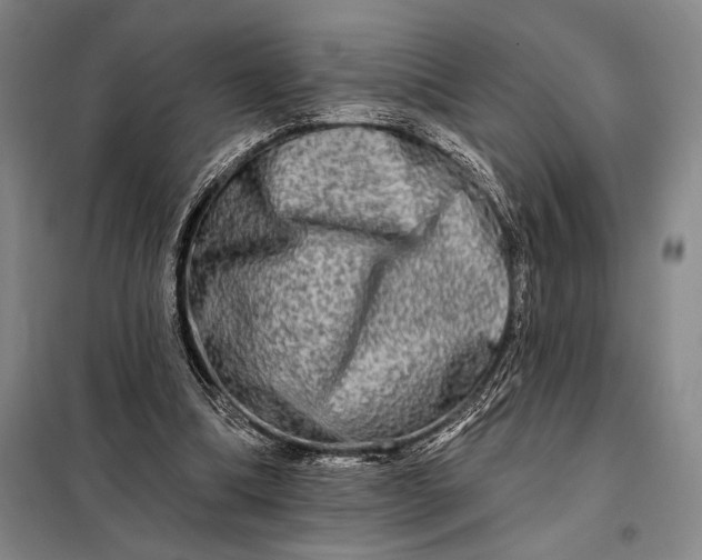 X0000098130298200805011327