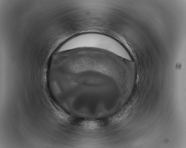 X0000098130299200805011327