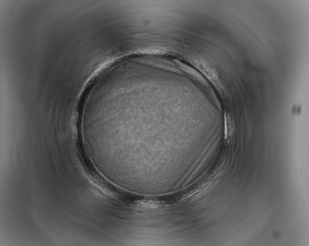 X0000098130300200805011327