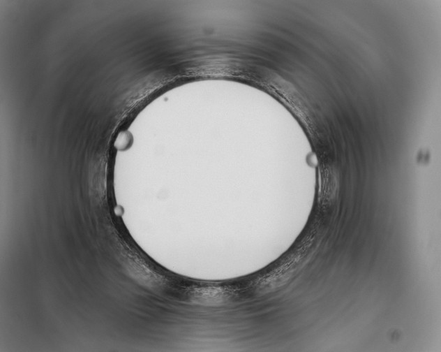 X0000098130301200805011327