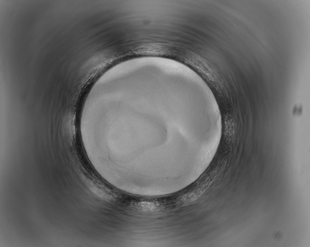 X0000098130302200805011327