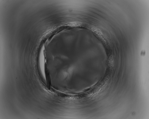 X0000098130303200805011327
