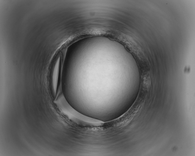 X0000098130304200805011327