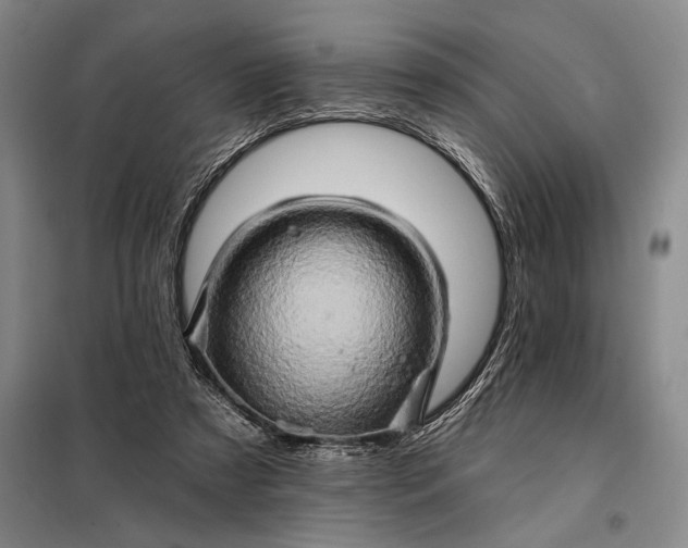 X0000098130305200805011327