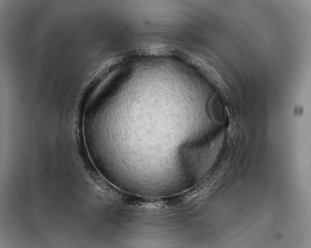 X0000098130306200805011327