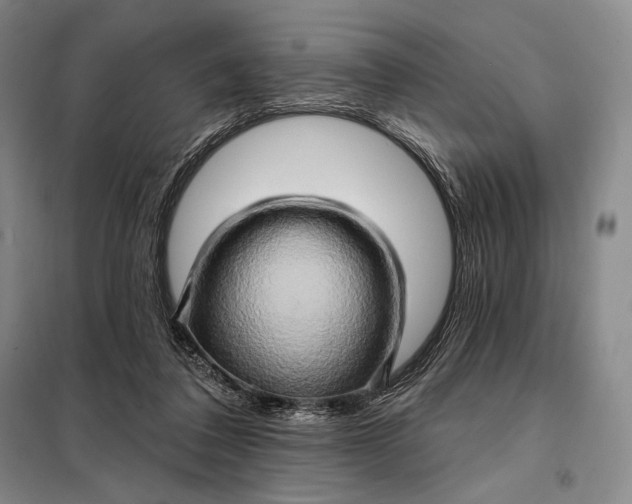 X0000098130308200805011327