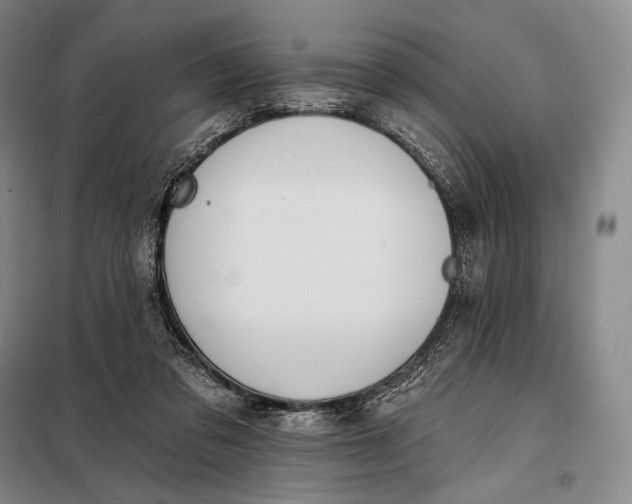 X0000098130309200805011327